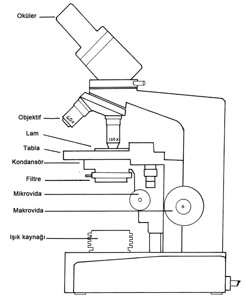 

Mikroskop ve parçaları