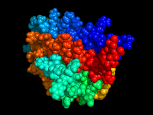 eritropoietin