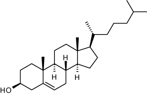 kolestrol