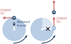 merkezcil kuvvet