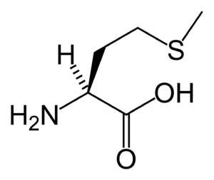 metiyonin