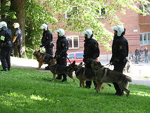 polis köpeği