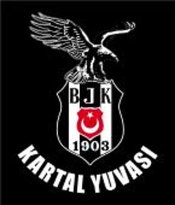 kartal yuvası