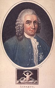 Carolus Linnaeus