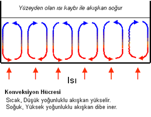 Taşınım