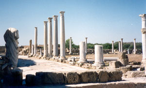 salamis