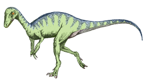 Eoraptor