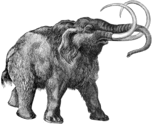 mamut