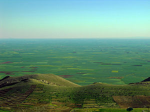 Mardin