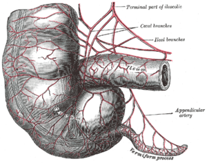 Apandis