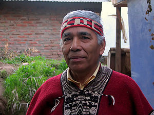 mapuche