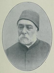 Mahmud Nedim Paşa