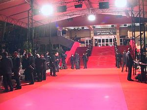 Cannes Film Festivali