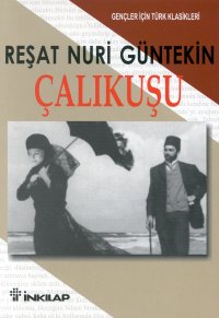 Çalıkuşu (kitap)