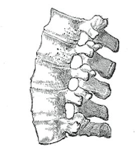 Ankilozan Spondilit