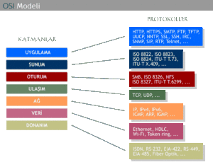 OSI Modeli