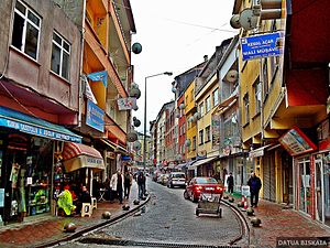 Fındıklı, Rize