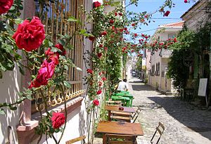 Alibey Adası