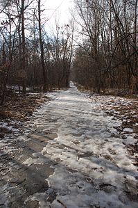 Babi Yar