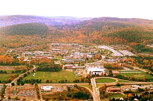 Binghamton Üniversitesi