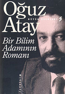 Bir Bilim Adamının Romanı (kitap)