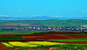 Bismil, Diyarbakır