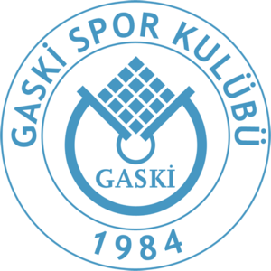 Gaskispor