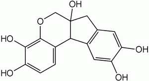 Hematoksilin