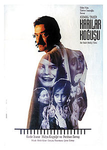 Karılar Koğuşu (Film)