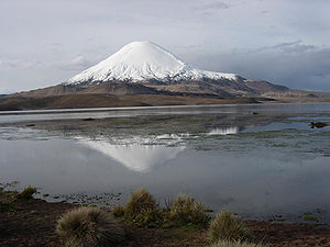 Lauca Milli Parkı