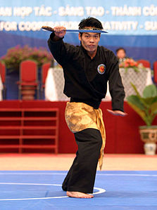 Pencak Silat