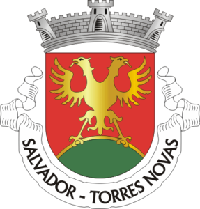 Salvador (Torres Novas)