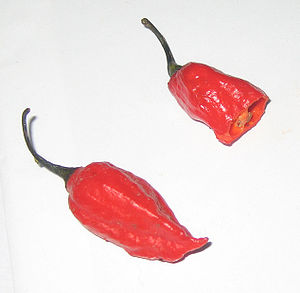 Scoville Acılık Ölçeği