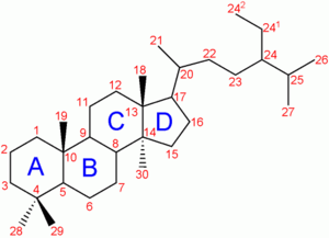 Steroit