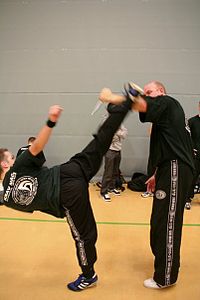 Krav Maga