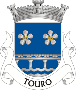 Touro (Vila Nova de Paiva)