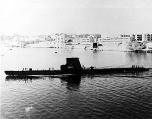 USS Mapiro (SS-376)