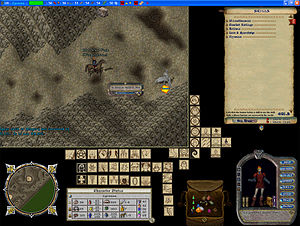 Ultima Online