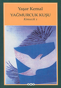 Yağmurcuk Kuşu (roman)