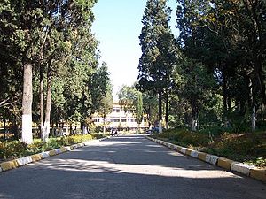 İstanbul Atatürk Fen Lisesi