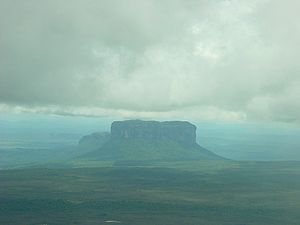 Canaima Ulusal Parkı