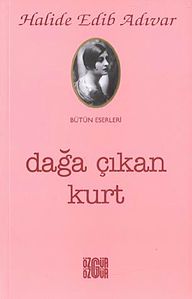 Dağa Çıkan Kurt (kitap)