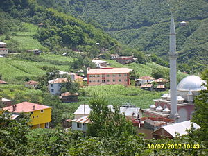 Eğriambar, Dereli