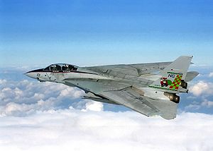 F-14 Tomcat