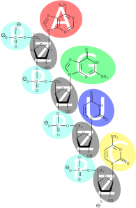 Genetik materyal