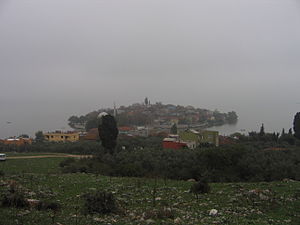 Gölyazı, Terme