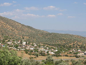 Hallaçlar, Çine