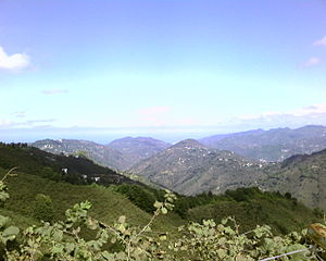 Hamidiye Köyü, Giresun