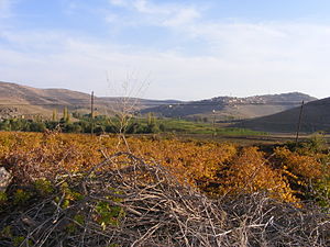 Karaalanı, Mazıdağı