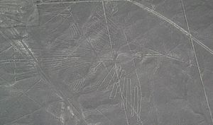 Nazca Çizgileri